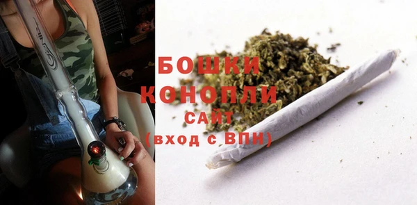эйфоретик Белокуриха