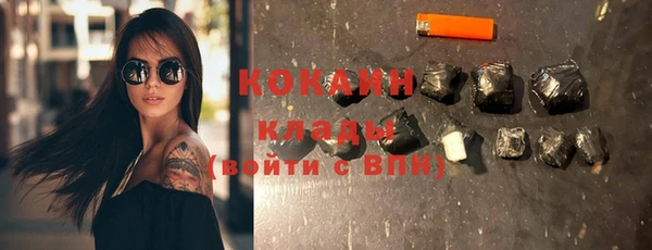 твердый Богородицк