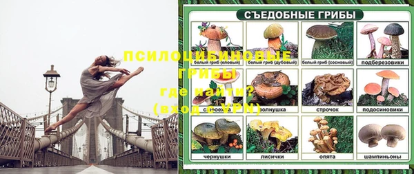 эйфоретик Белокуриха